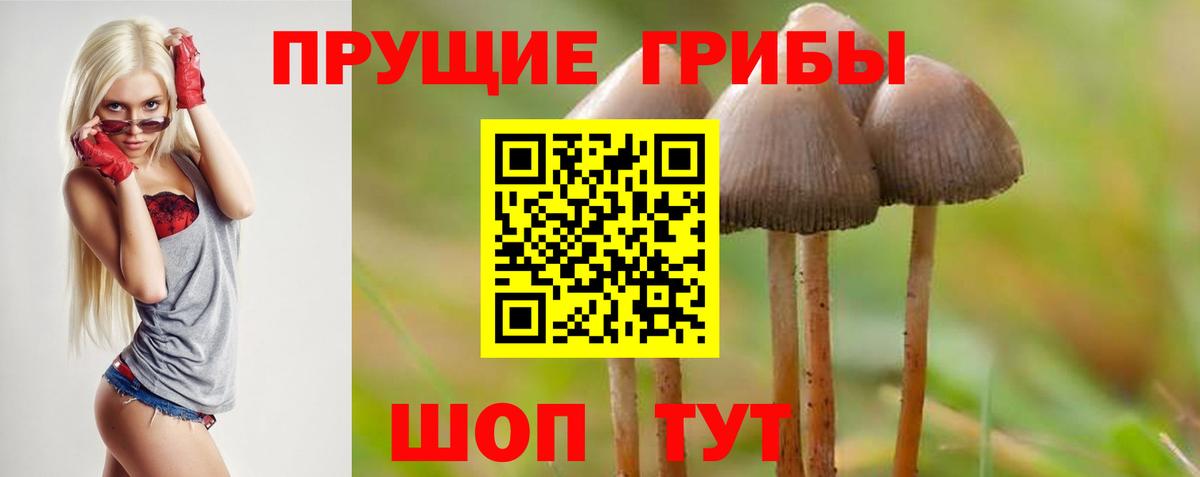 Псилоцибиновые грибы Cubensis  Псилоцибиновые грибы Psilocybine cubensis  хочу наркоту  Новозыбков  Вход с VPN 