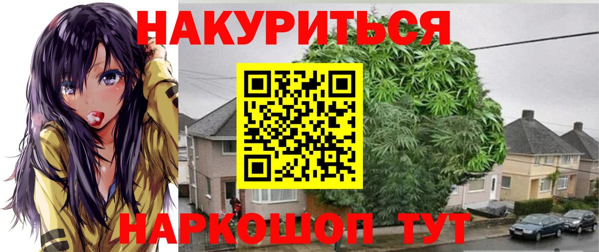 Марихуана марихуана Новозыбков